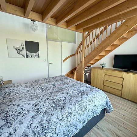 Miky Apartman Klinovec Garden Loučná pod Klínovcem Exteriér fotografie