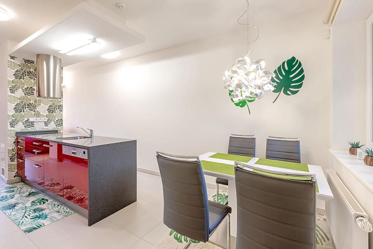 Miky Apartman Klinovec Garden Loučná pod Klínovcem Exteriér fotografie